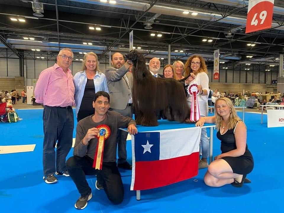 PREMIO PERROS